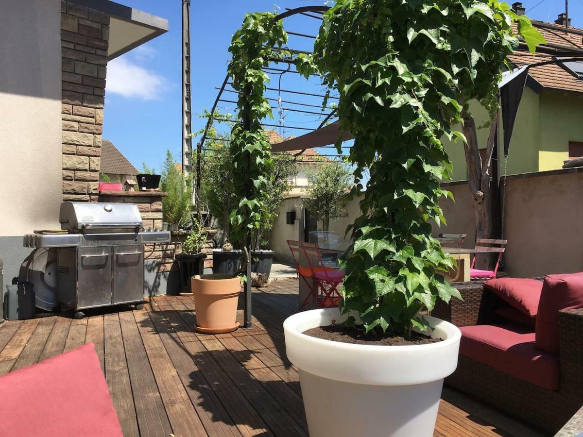 La Terrasse Selestadienne Sélestat Zewnętrze zdjęcie