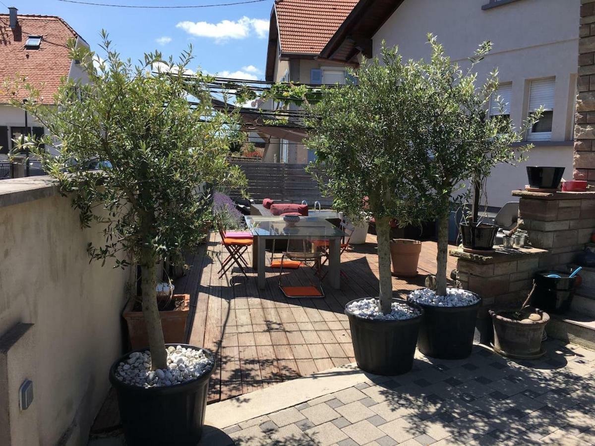 La Terrasse Selestadienne Sélestat Zewnętrze zdjęcie