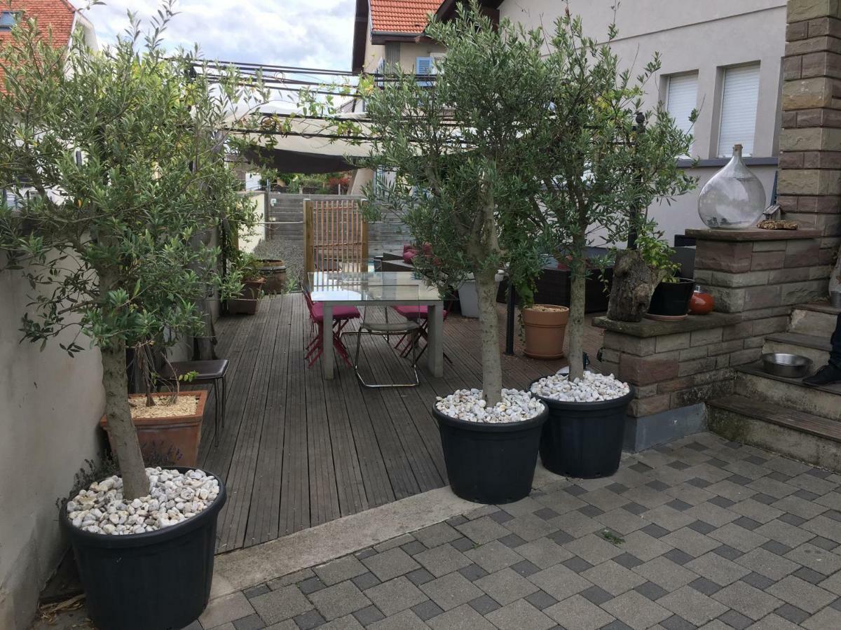 La Terrasse Selestadienne Sélestat Zewnętrze zdjęcie